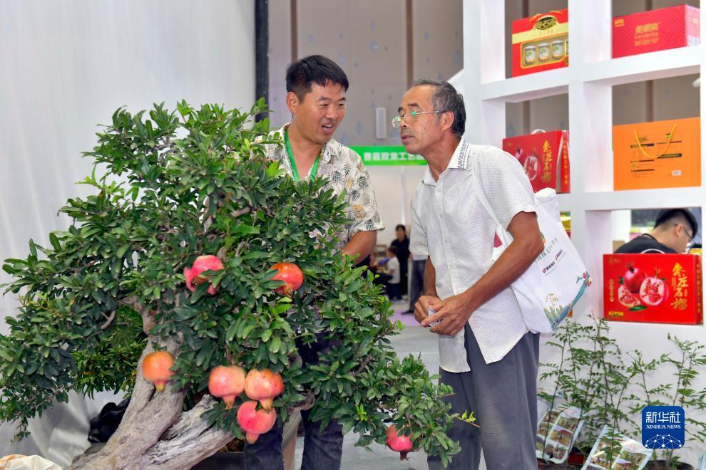 FG电子平台